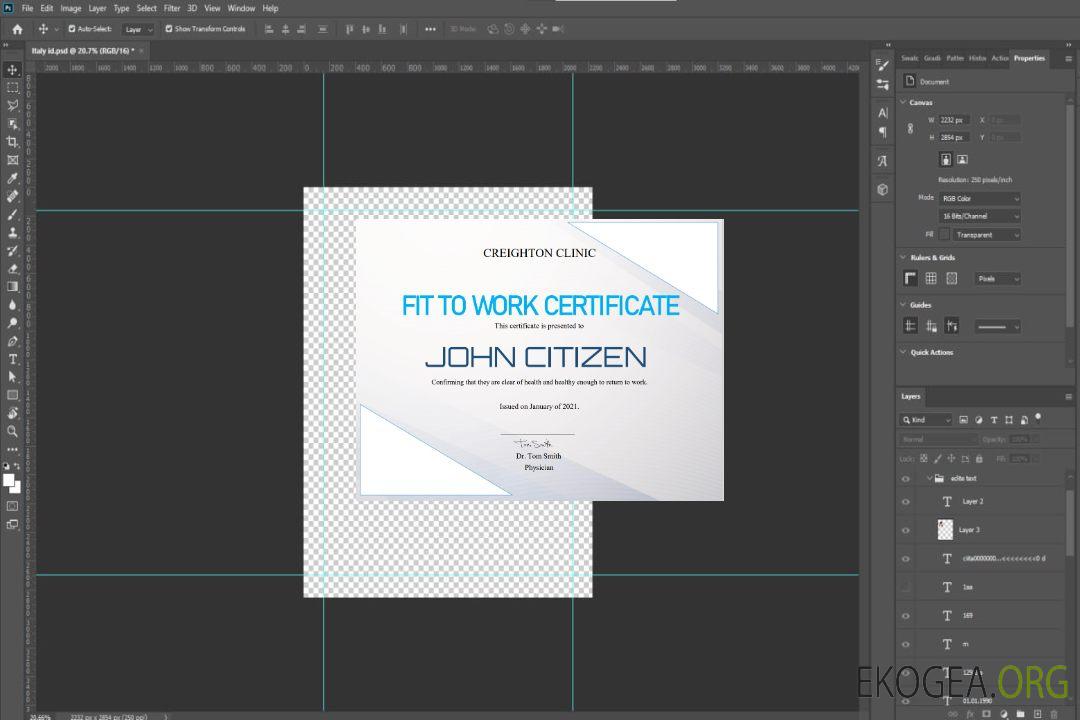Certificat d'aptitude au travail aux États-Unis template
